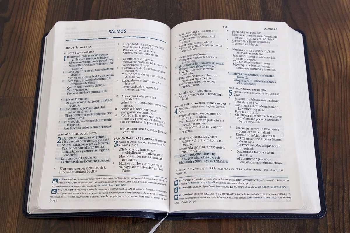 Biblia Del Pescador Reina Valera 1960, Letra Grande, Azul Simil Piel