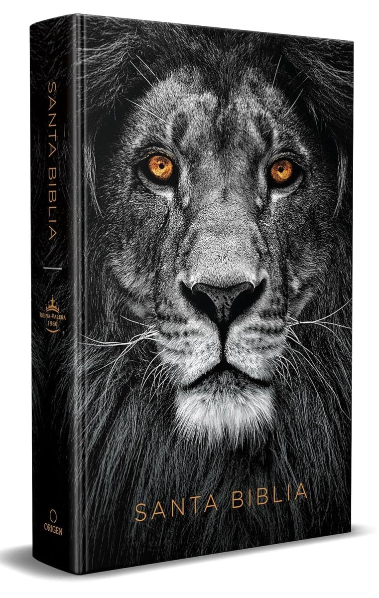 Biblia RVR 1960 Letra 10 Pts 14 X 21 TD León De Judá