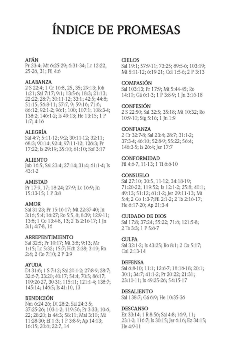 Biblia Reina Valera 1960 de Promesas · Tamaño manual · Edición gris · Imitación piel con índice