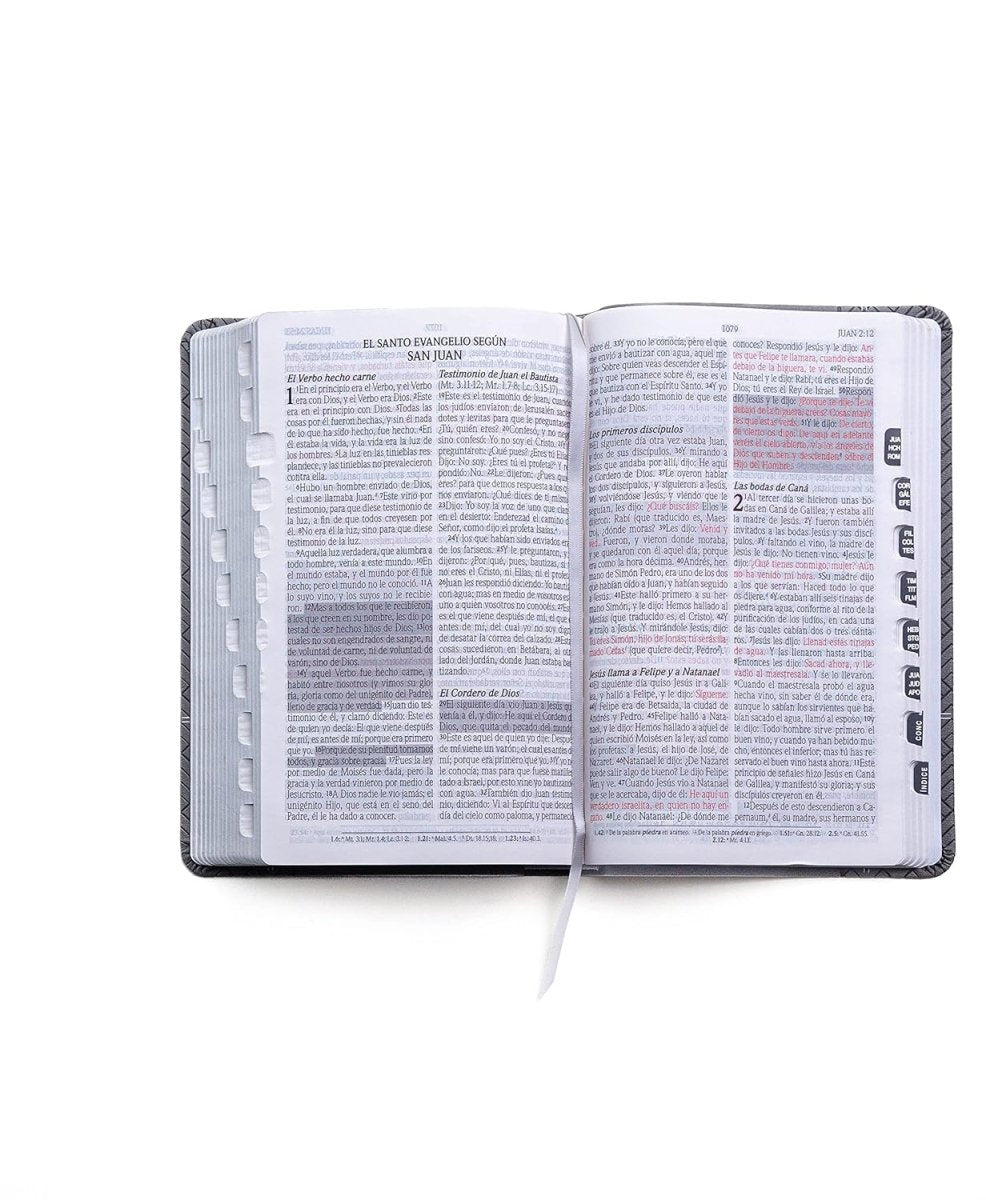 Biblia Reina Valera 1960 de Promesas · Tamaño manual · Edición gris · Imitación piel con índice