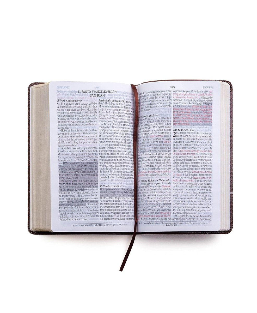 Biblia Reina Valera 1960 de Promesas · Tamaño manual · Edición café · Imitación piel