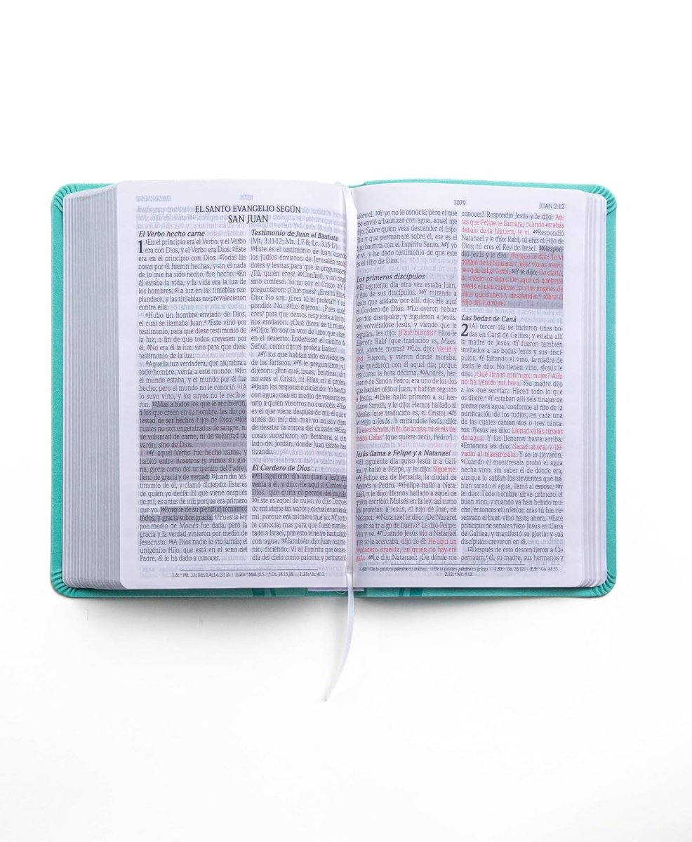 Biblia Reina Valera 1960 de Promesas · Tamaño manual · Imitación piel menta