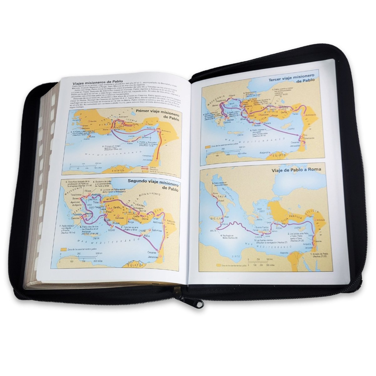 Biblia Reina Valera 1960 de Promesas · Letra gigante · Imitación piel negra con cierre e índice