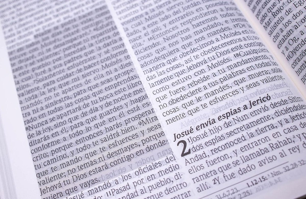 Biblia Reina Valera 1960 de Promesas · Letra gigante · Imitación piel turquesa con cierre e índice