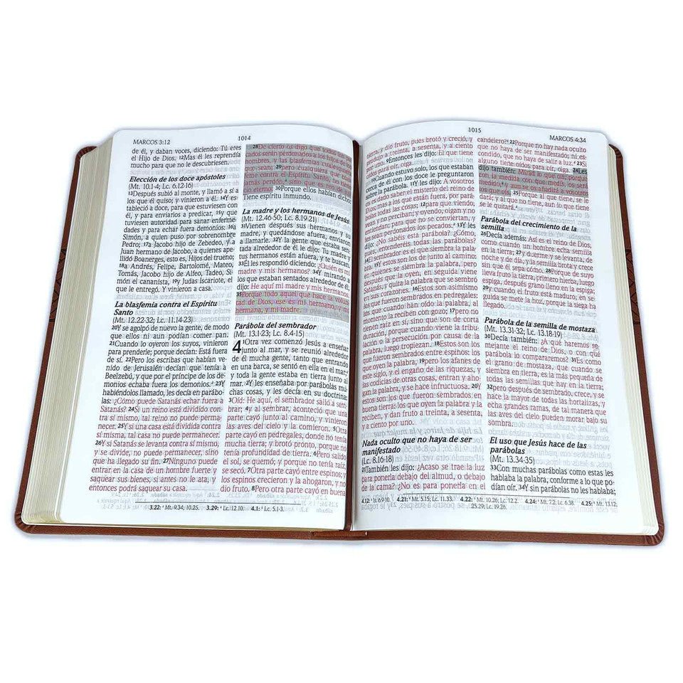 Biblia Reina Valera 1960 de Promesas Letra Grande 13 puntos