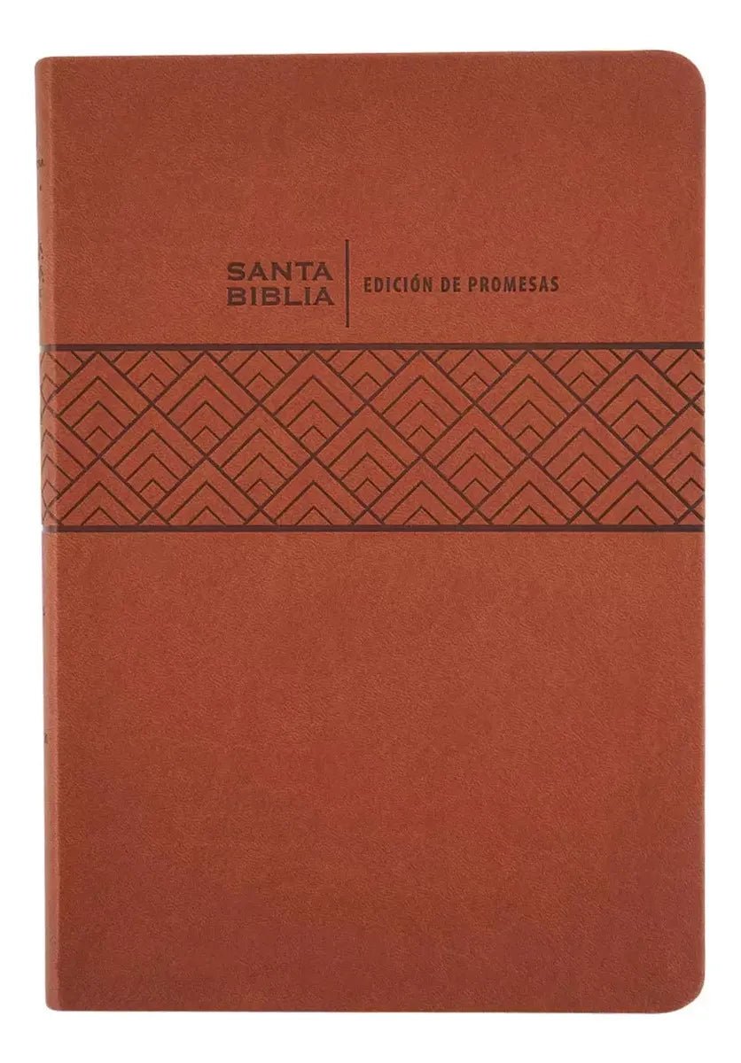 Biblia De Promesas, Letra Gigante