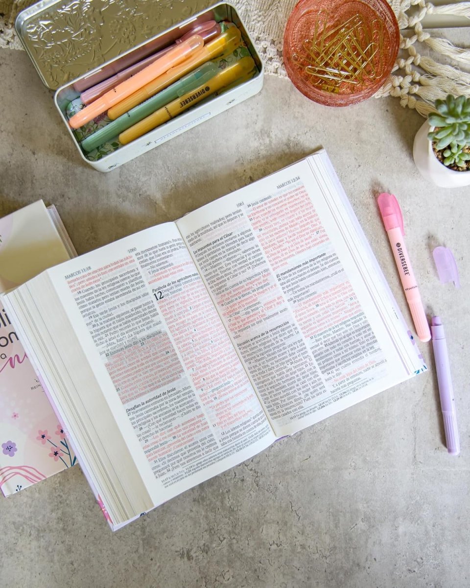 Biblia NTV de Promesas para niñas · Tapa dura rosa