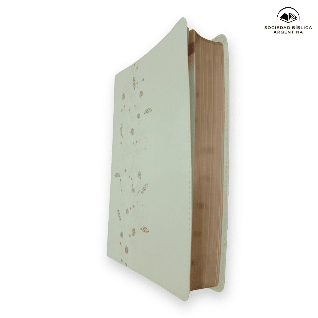 Biblia RVR 1960 Devocional Los lenguajes del amor Oro Rosa