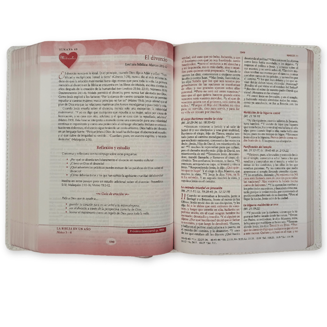 Biblia RVR 1960 Devocional Los lenguajes del amor Oro Rosa