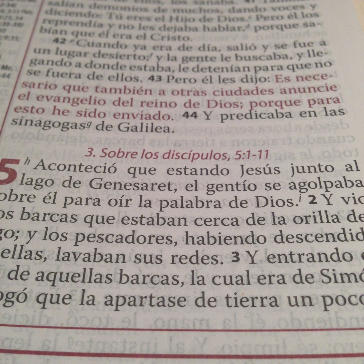 Biblia De Estudio Ryrie Dos Tonos Color Negro Tf