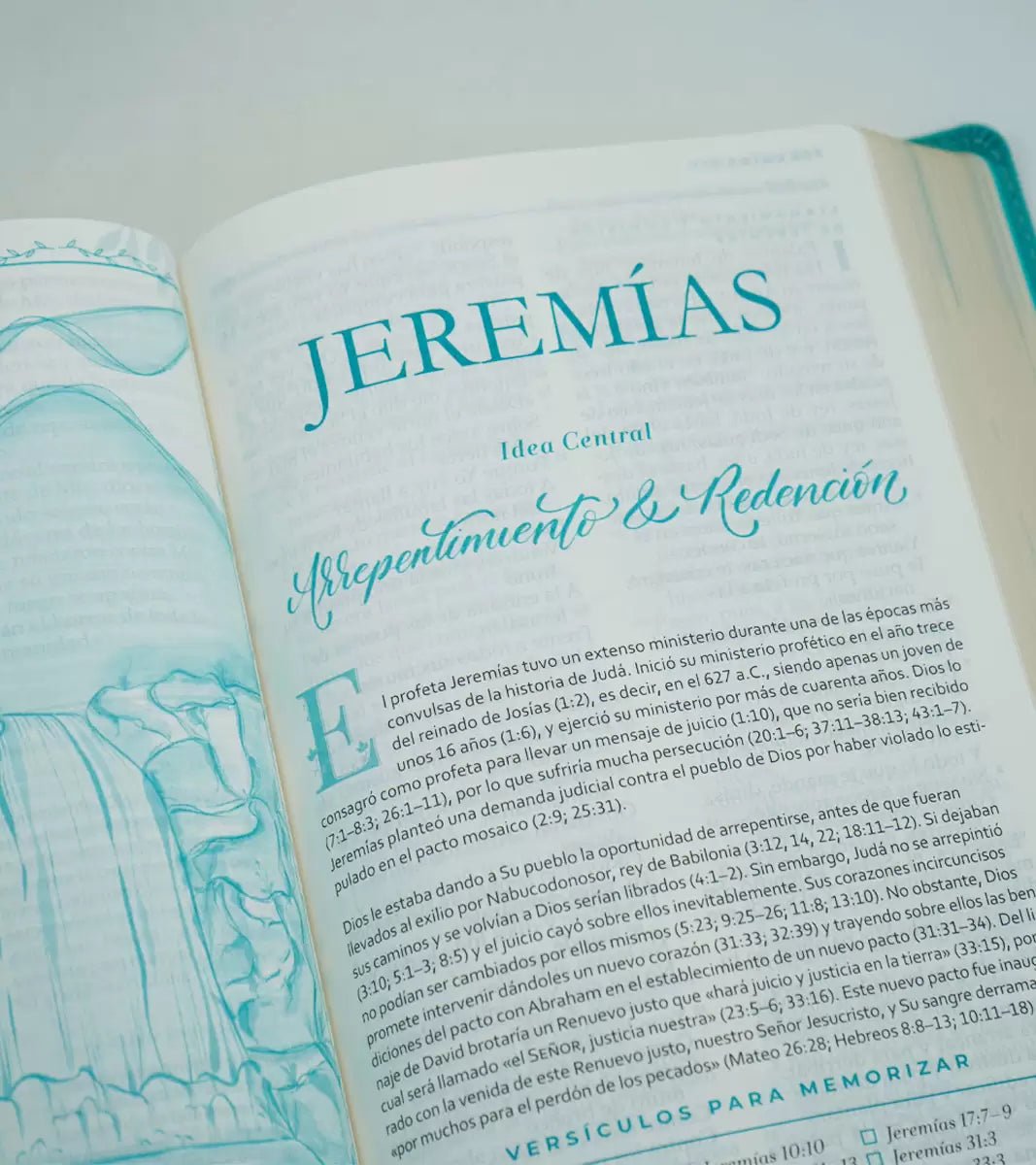 Biblia NBLA Devocional mujer Verdadera Letra Grande