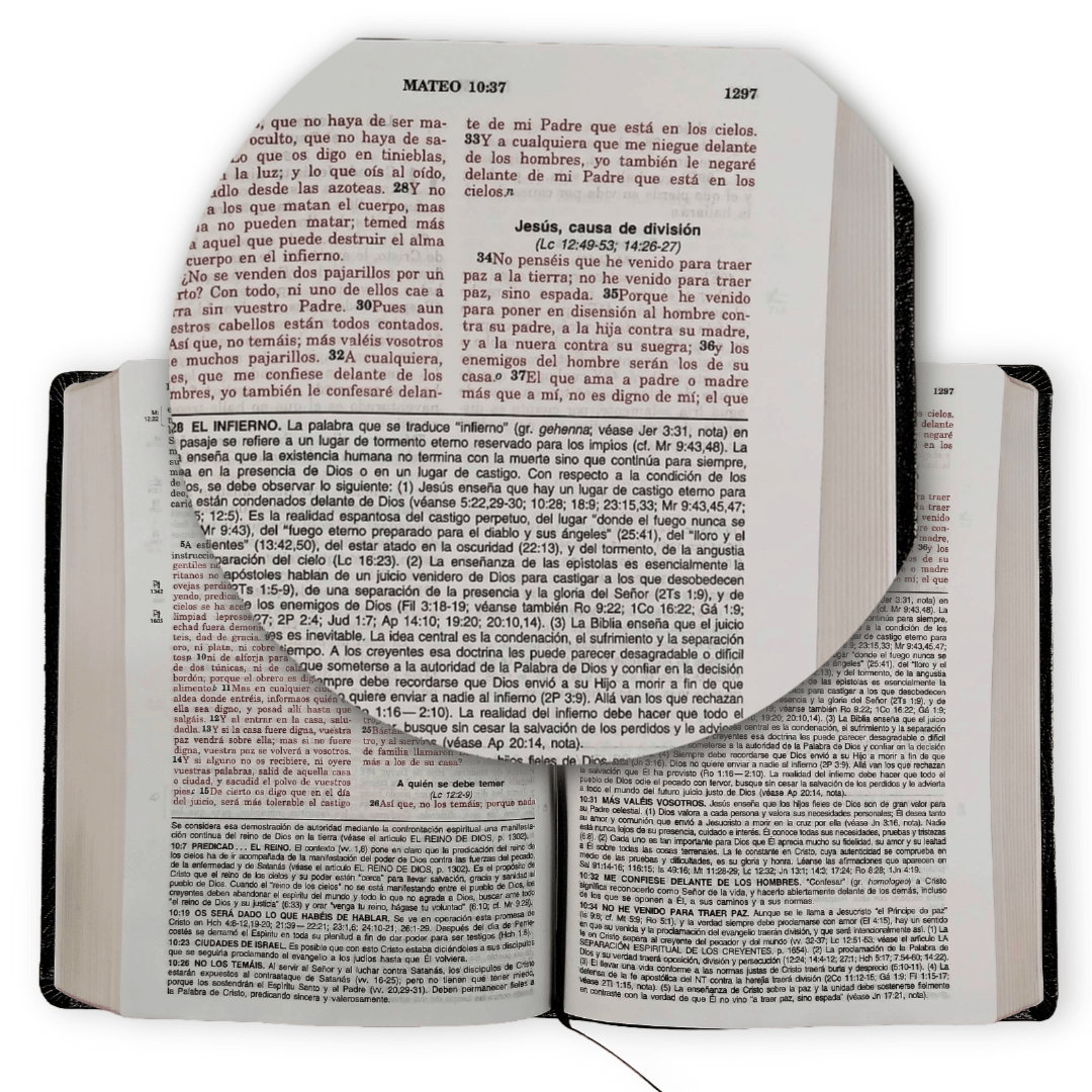 Biblia De Estudio Vida Plena Piel Reina Valera 1960