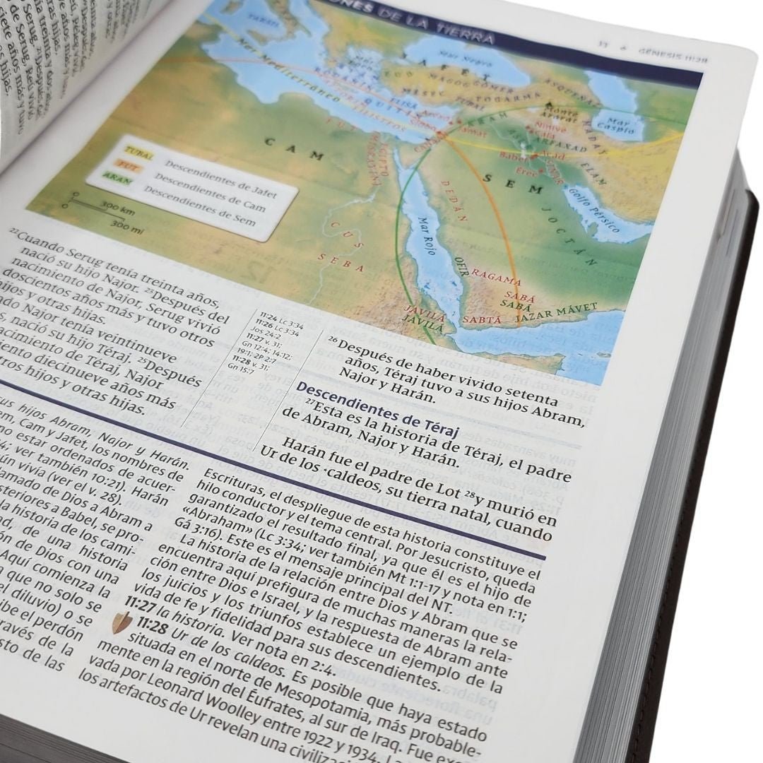 Biblia De Estudio Nueva Versión Internacional Letra Grande Marron