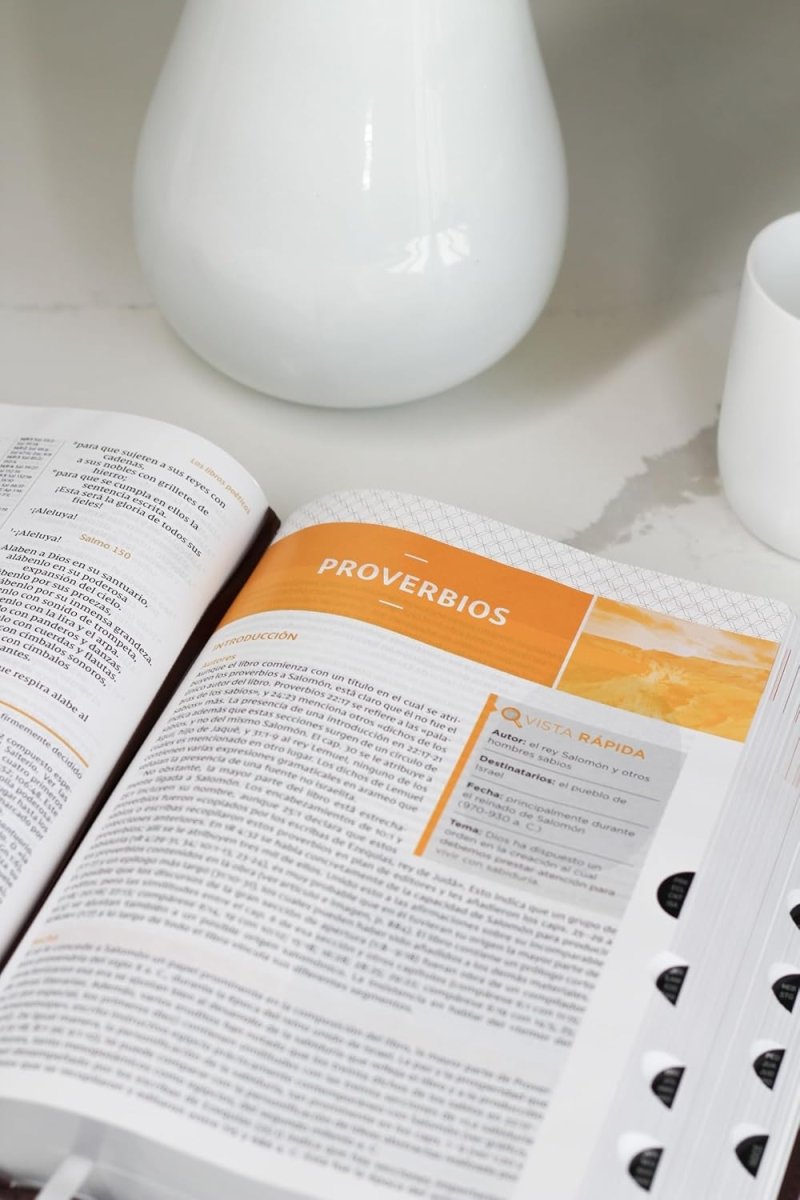 Biblia De Estudio Nvi Letra Grande Indice Marron