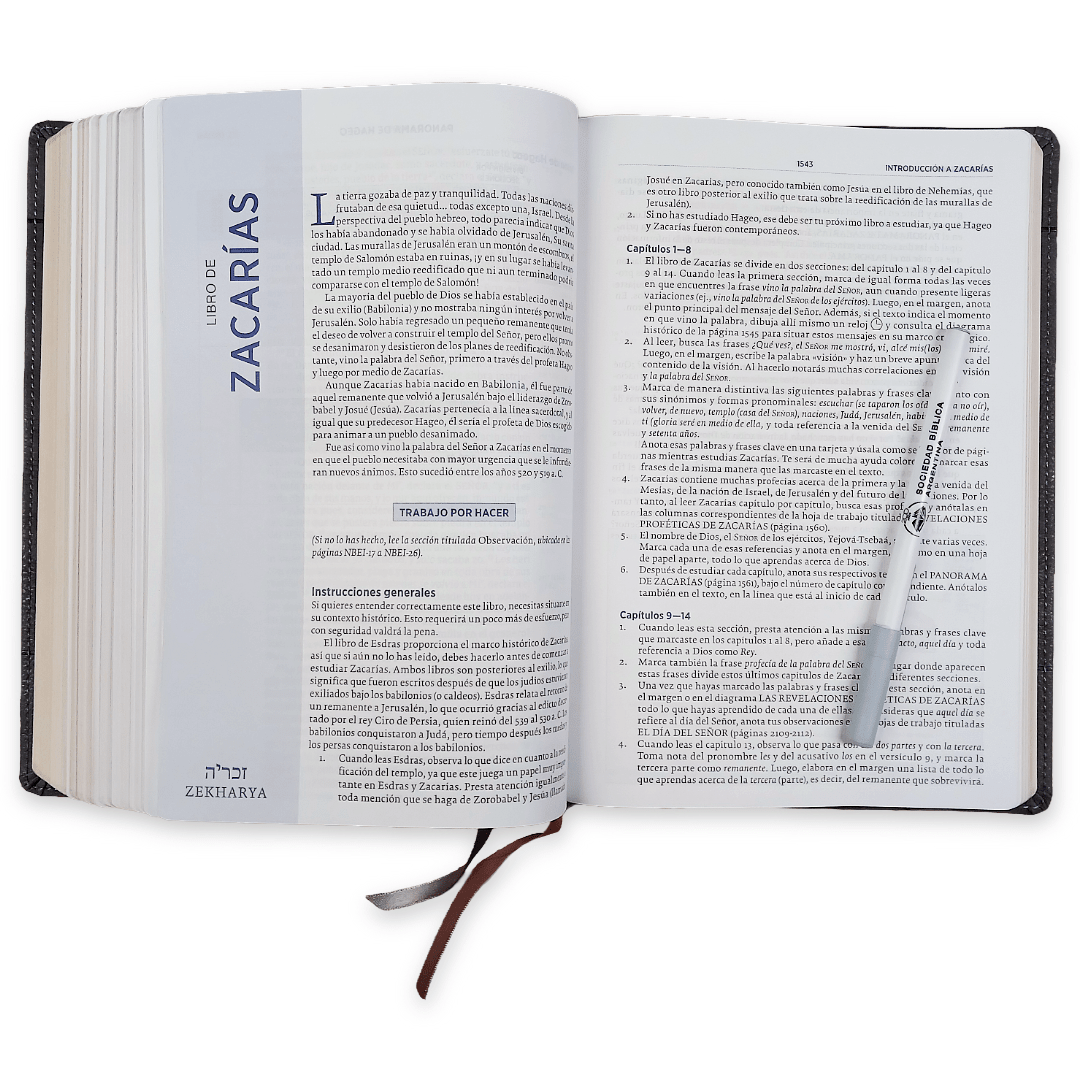 Biblia Nueva Biblia De Las Américas (NBLA) Para El Estudio Inductivo, 18×25, Tapa PU, Comfort Print, Gris