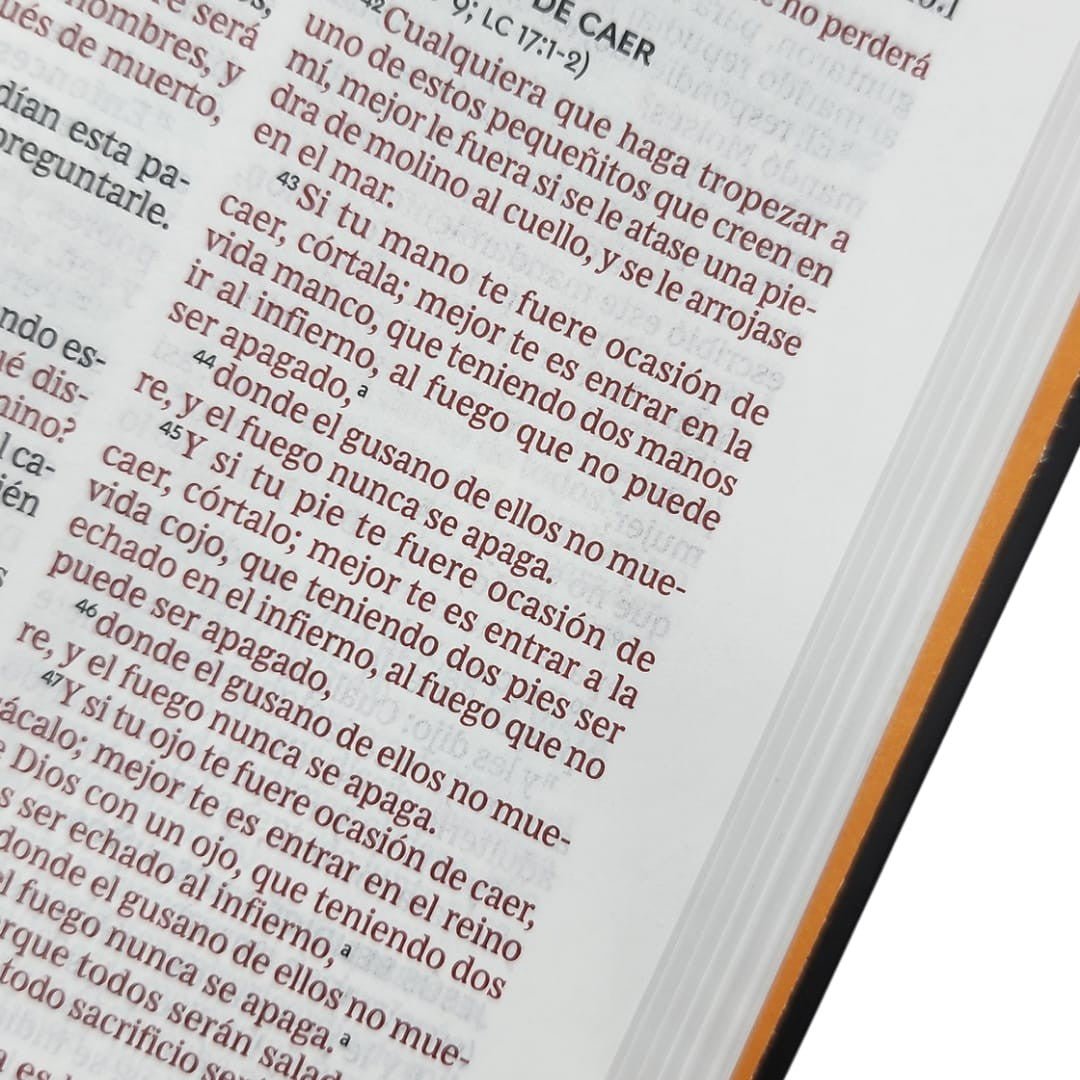 Biblia Reina Valera 1960 Premio Y Regalo El Los Llevo Sobre Si