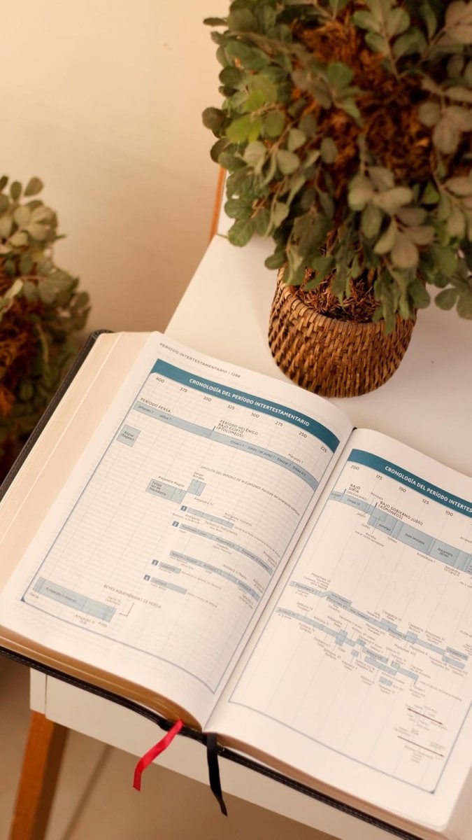 Biblia Nueva Biblia De Las Américas (NBLA) De Estudio MacArthur, Letra 11 Pt, 20×29, Tapa PU, Negro