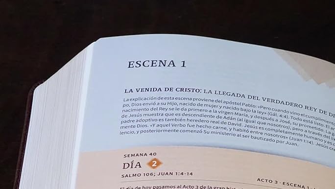 Reina Valera 1960 Cronológica dia por dia marron simil piel