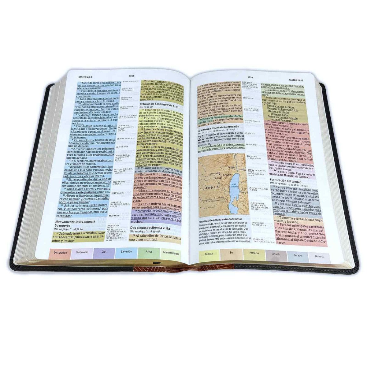 Biblia Reina Valera 1960 De Estudio Arcoiris Letra 10 P 18 X 26 Cocoa/ Terracota Simil Piel