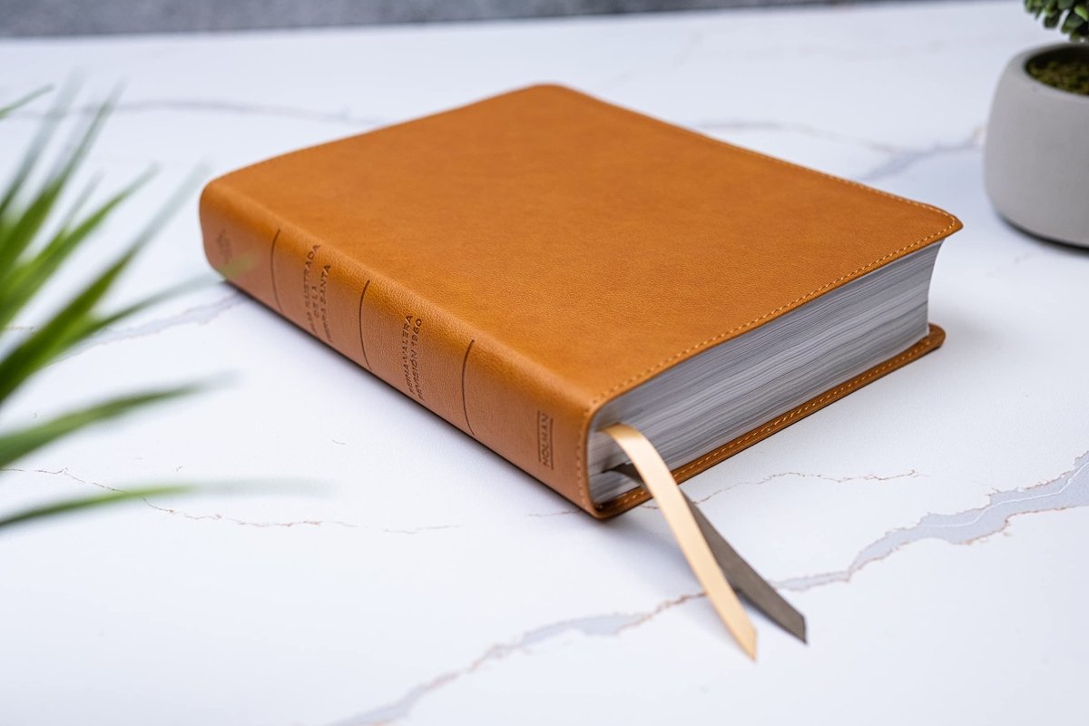 Biblia Reina Valera 1960 Illustrada De La Tierra Santa Cafe Simil Piel