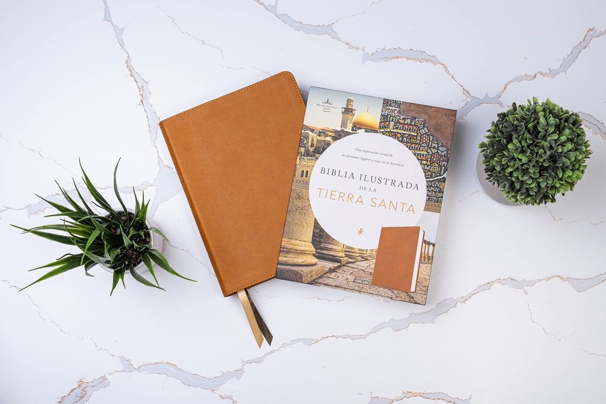 Biblia Reina Valera 1960 Illustrada De La Tierra Santa Cafe Simil Piel