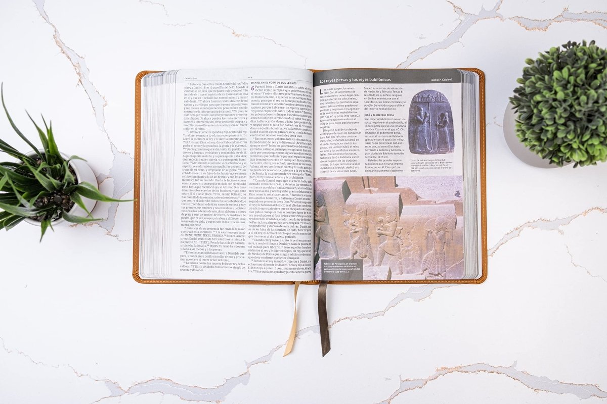 Biblia Reina Valera 1960 Ilustrada de la Tierra Santa cafe Simil