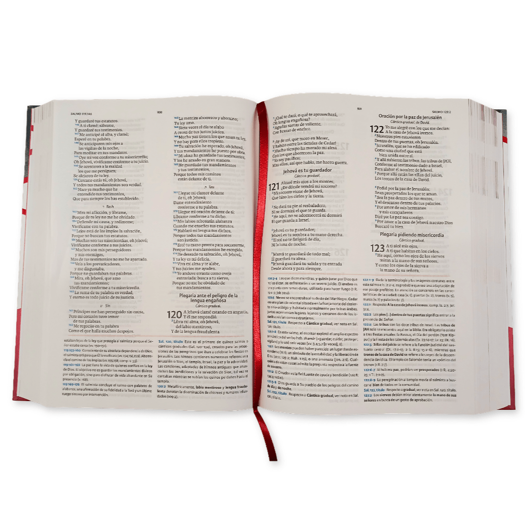 Biblia de Estudio Reina Valera 1960 Holman Tapa Dura B&H - Lifeway