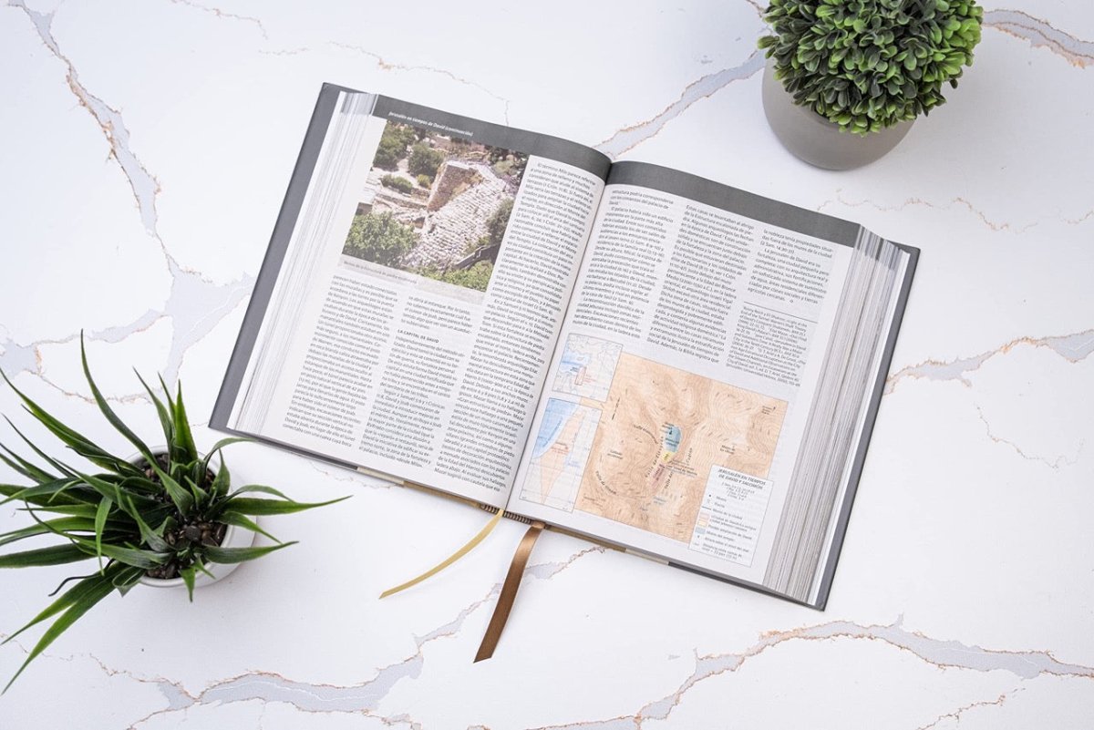 Biblia Reina Valera 1960 Ilustrada de la Tierra Santa Tapa Dura