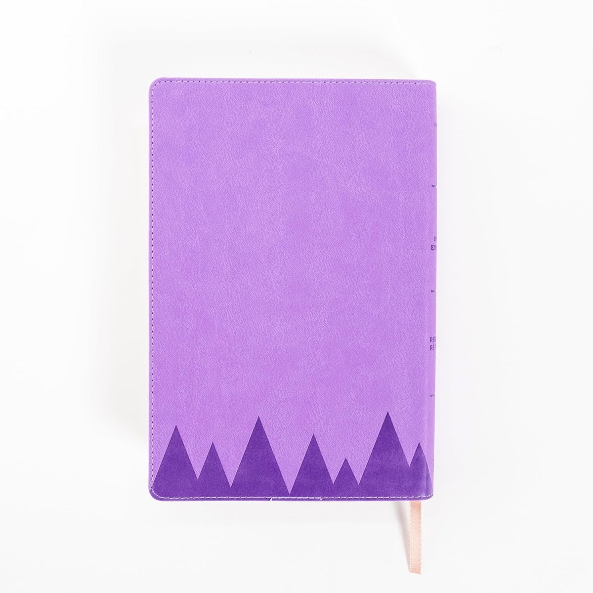 Biblia Reina Valera 1960 para Niños Exploradores lavanda compas simil piel