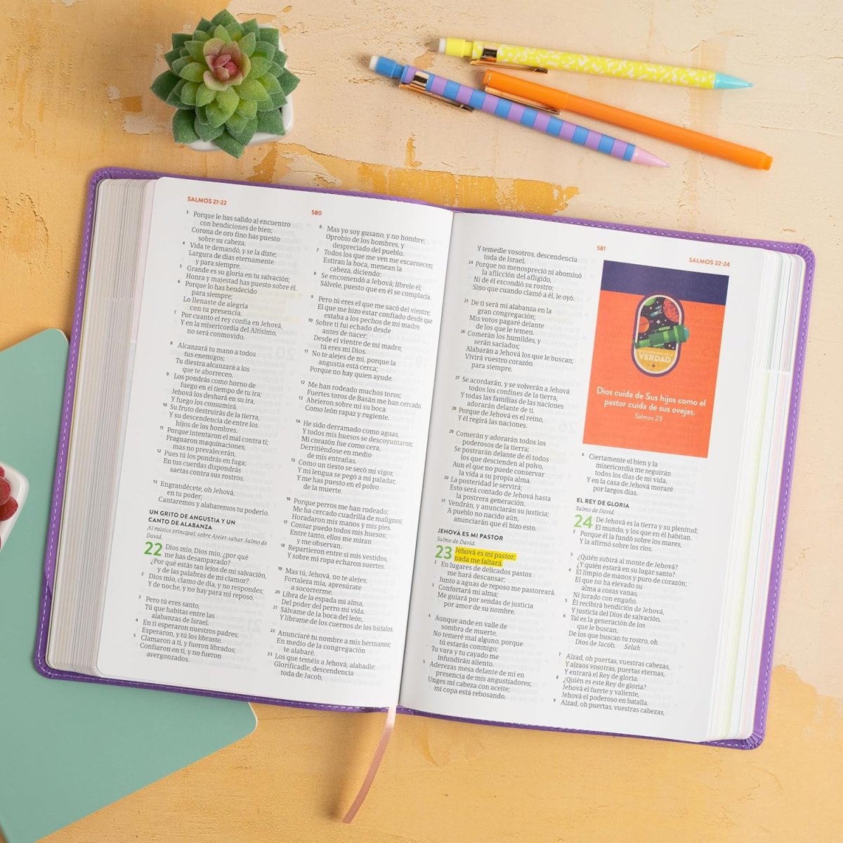 Biblia Reina Valera 1960 para Niños Exploradores lavanda compas simil piel