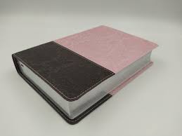 Biblia Nueva Traducción Viviente Letra grande Edición Personal Rosa Cafe