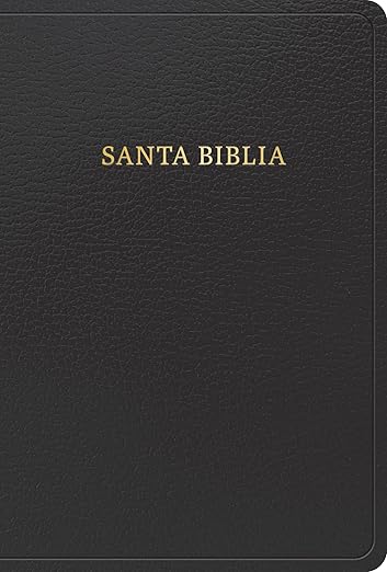 Biblia Rvr 60 Letra 12P 15 X 21, Negro Imitacion Piel