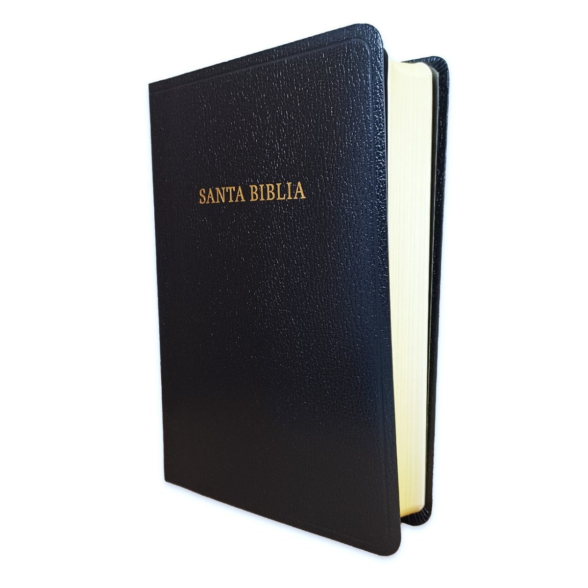 Biblia Rvr 60 Letra 12P 15 X 21, Negro Imitacion Piel
