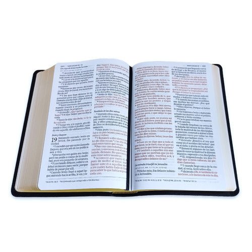 Biblia Rvr 60 Letra 12P 15 X 21, Negro Imitacion Piel