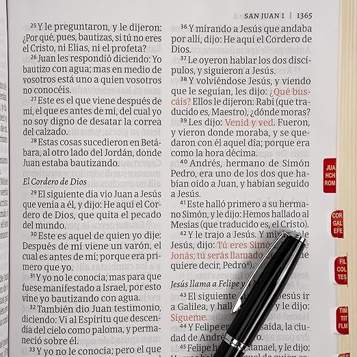 Biblia Rvr 60 Letra 12P 15 X 21, Borgona Imitacion Piel