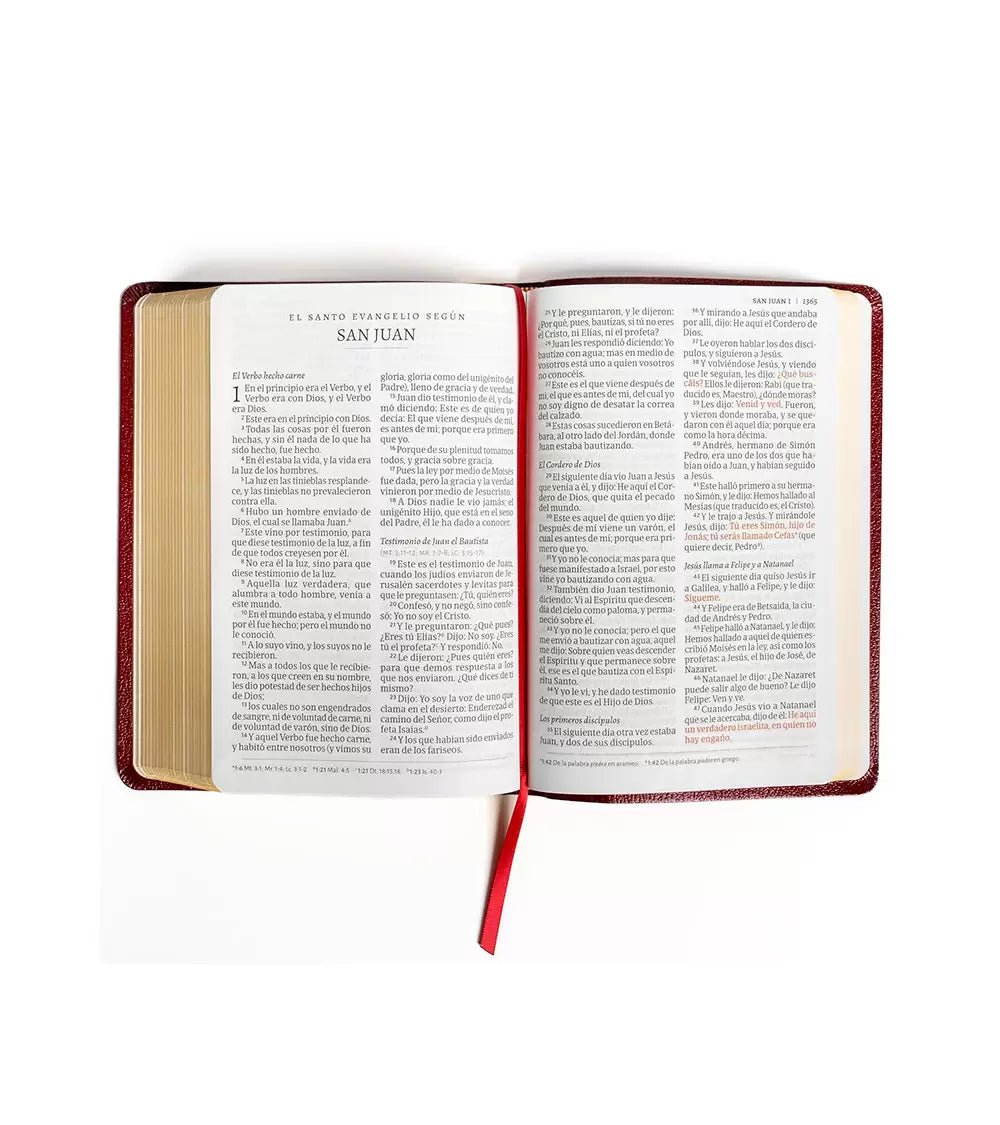 Biblia Rvr 60 Letra 14P, Borgona Imitacion Piel