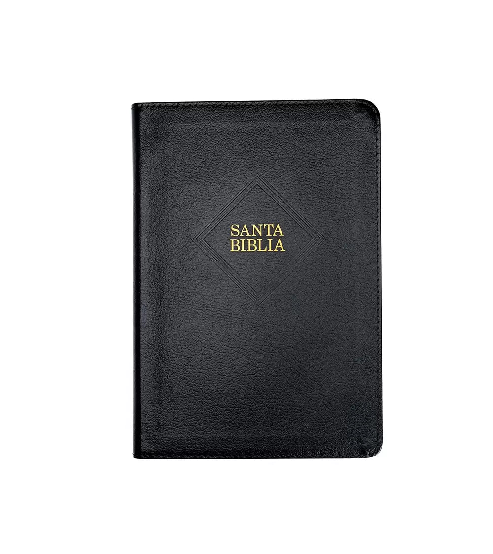 Biblia Rvr 60 Letra 14P, Negro Piel Fabricada