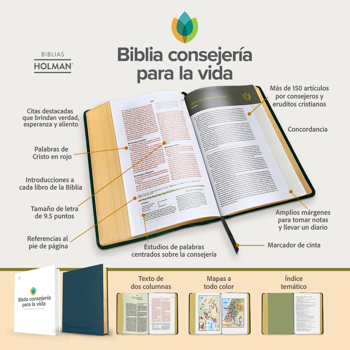 Biblia de Estudio Reina Valera 1960 Consejeria Para La Vida Letra 9 puntos Azul Pizarra Simil Piel