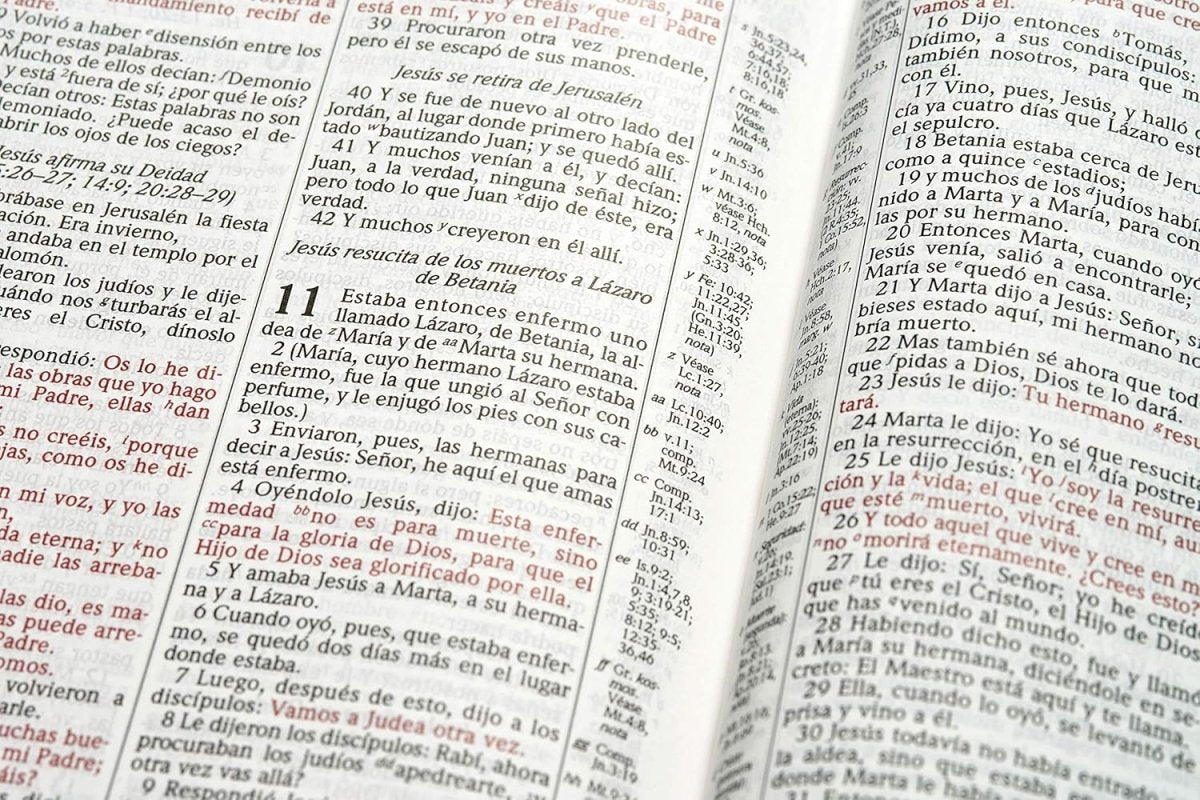 Biblia de Estudio Scofield Reina Valera 1960 Tamaño Personal Chocolate Oscuro Simil Piel