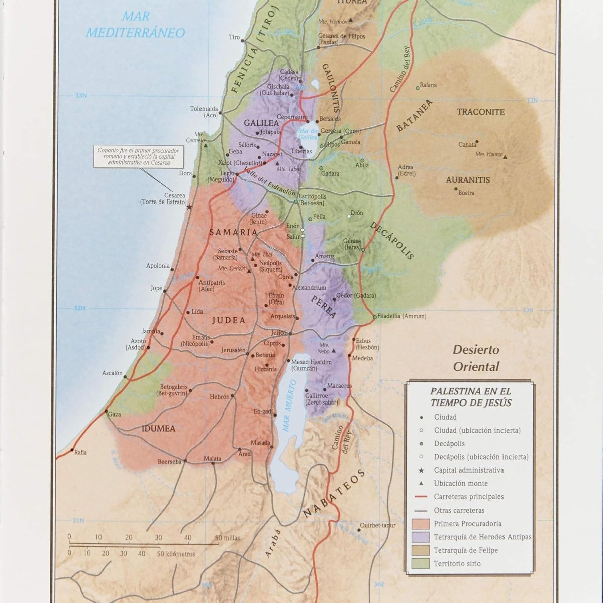 Biblia de Estudio Scofield Reina Valera 1960 Tamaño Personal Chocolate Oscuro Simil Piel