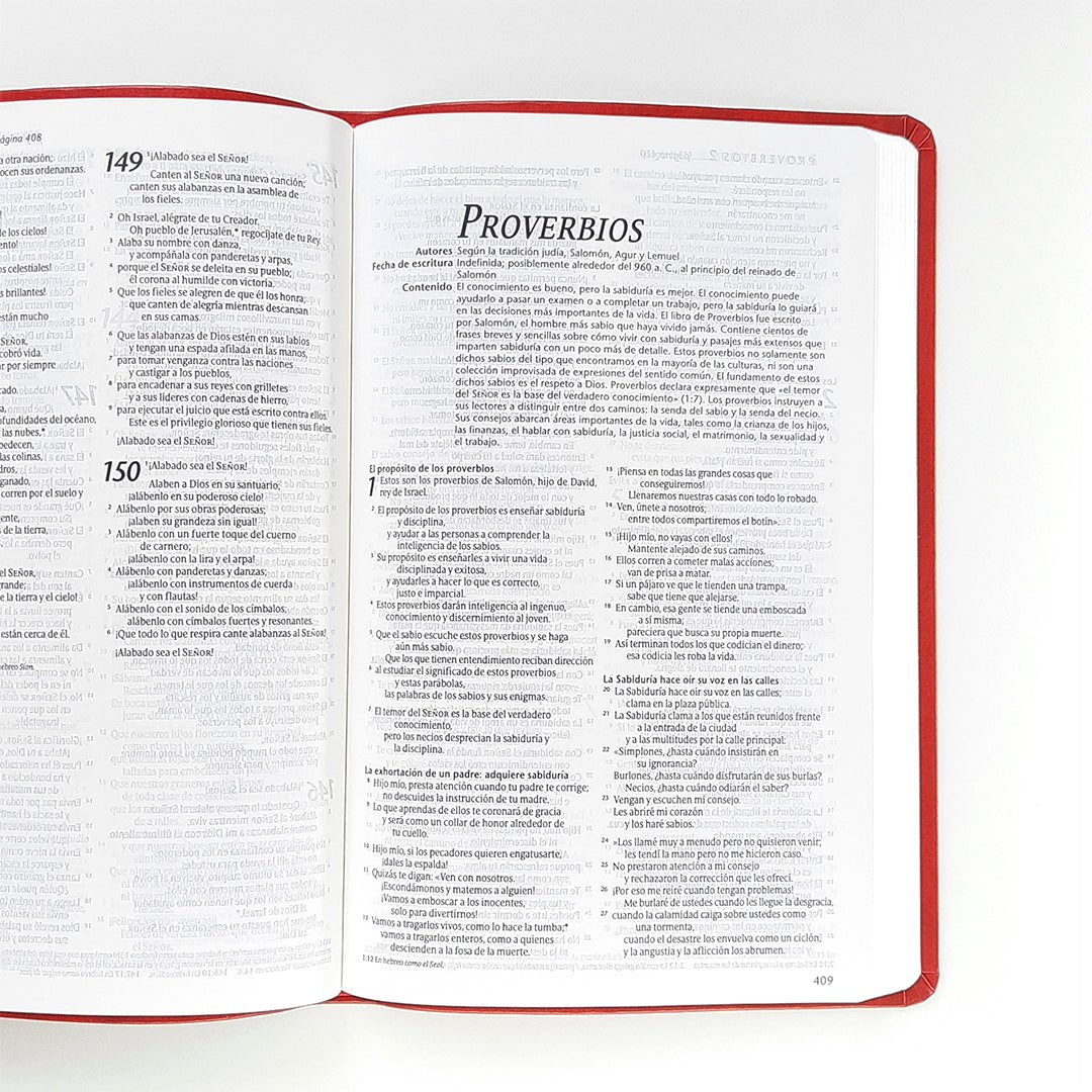 Biblia Nueva Traducción Viviente Imitación Cuero Agape Rojo