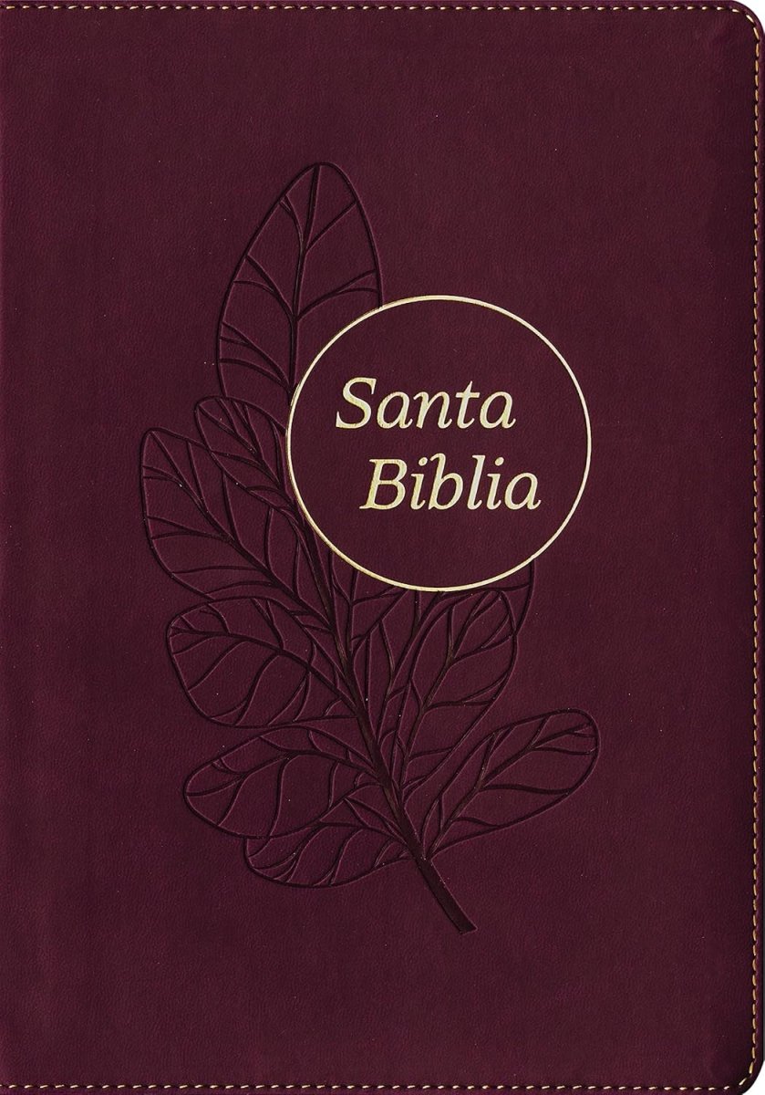 Biblia Reina Valera 1960 Letra Compacta PJR Tapa PU Ciruela