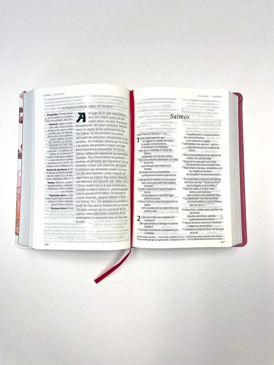 Biblia Nueva Traducción Viviente Letra Mediana PJR Flores Rosa
