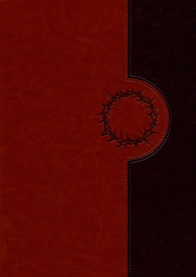 Biblia De Estudio Del Diario Vivir NTV Letra Mayor 2 tonos