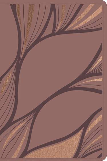 Biblia Nueva Traducción Viviente Letra Mediana PJR Diseño Metálico Rosa