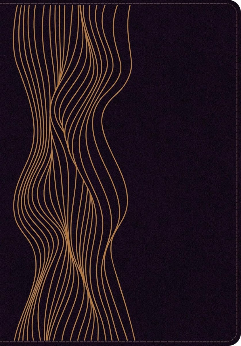 Biblia Reina Valera 1960 Estudio Diario Vivir Letra Mediana PJR Morado