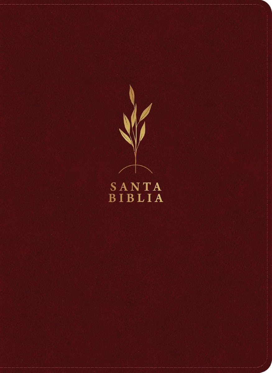Biblia Reina Valera 1960 Estudio Diario Vivir Letra Mediana PJR Bordo
