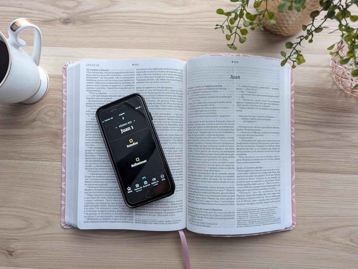 Biblia Nueva Traducción Viviente Filament Letra Grande Símil Piel Rosa