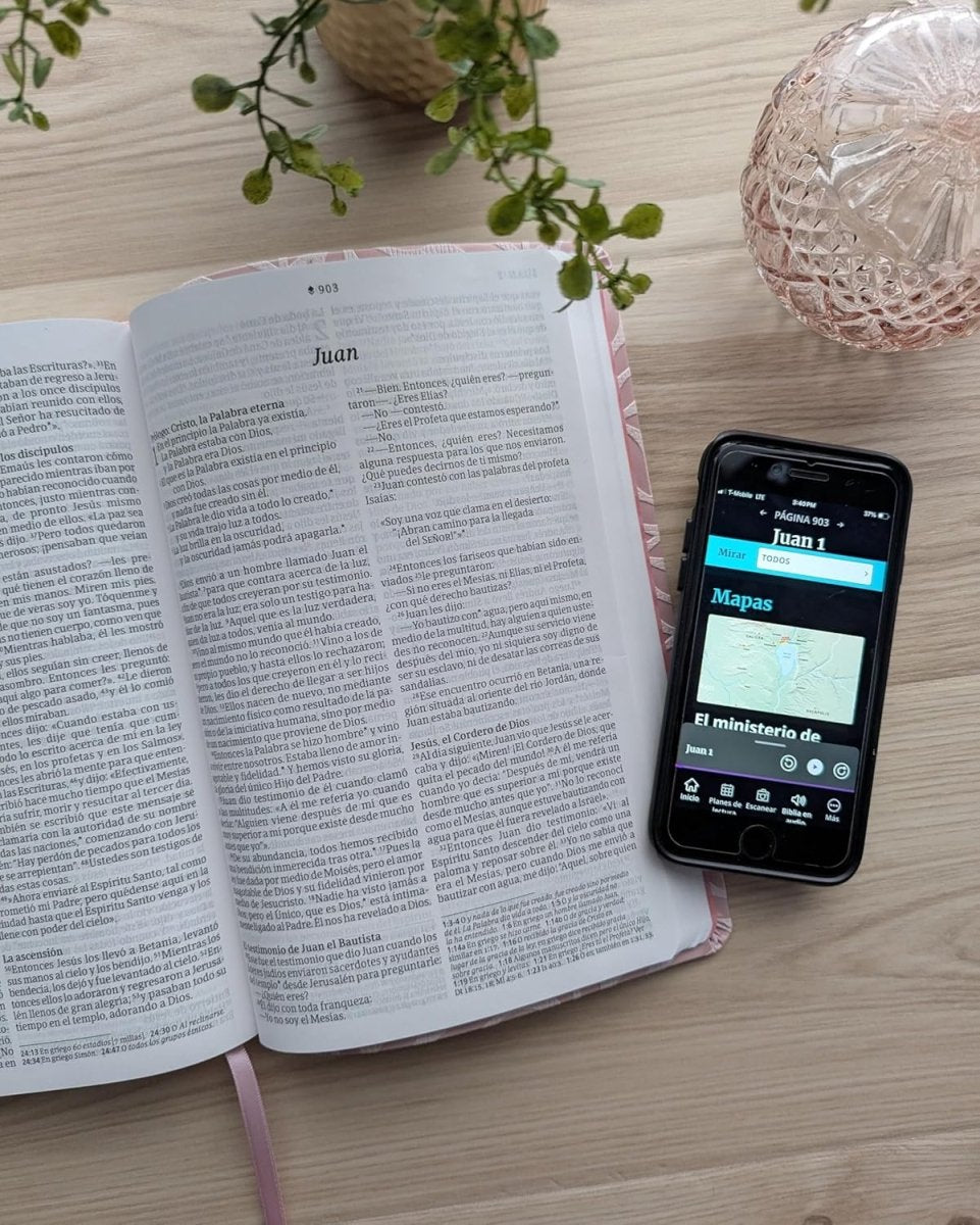 Biblia Nueva Traducción Viviente Filament Letra Grande Símil Piel Rosa