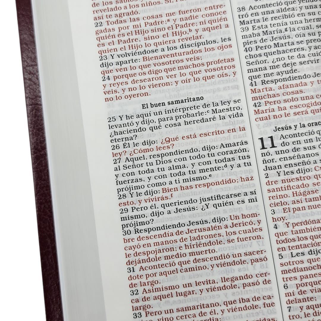 Biblia Reina Valera 1960 para Regalos y Premios Letra 8 puntos Bordo 14 x 20 cm